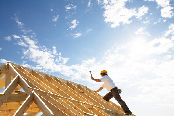 Best Cold Roofs  in Zellwood, FL